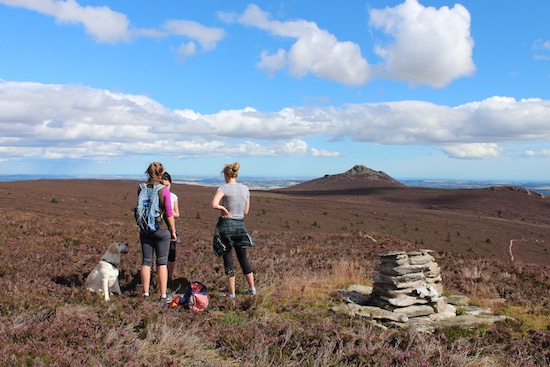 View of Bennachie, Aberdeenshire