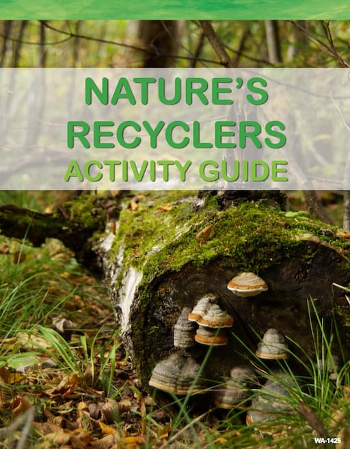 Nature's Recyclers - Activity Guide (PDF)