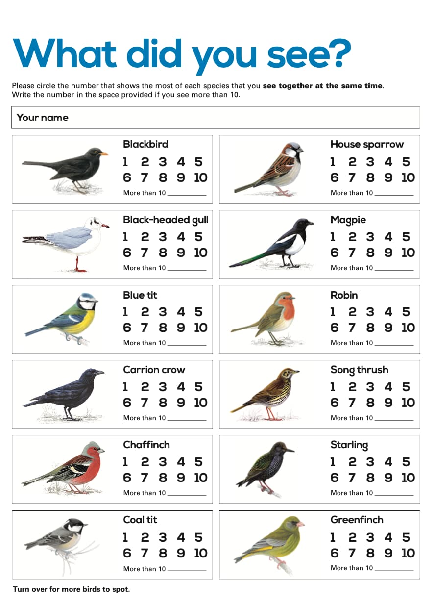 RSPB What did you see? Worksheet