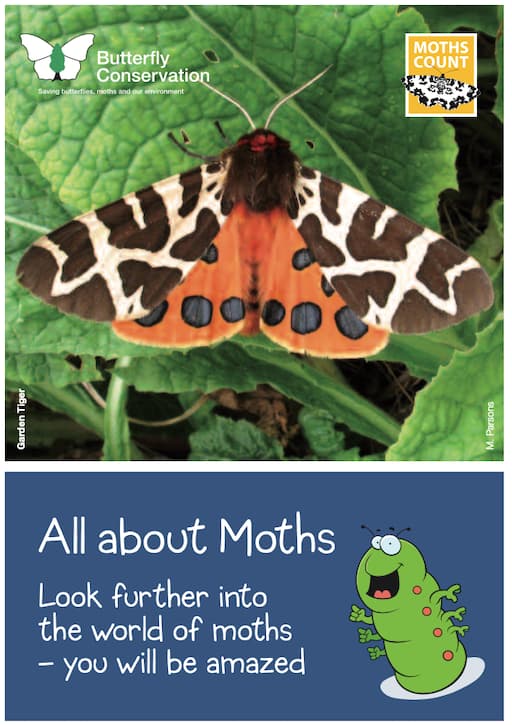 All About Moths (PDF)