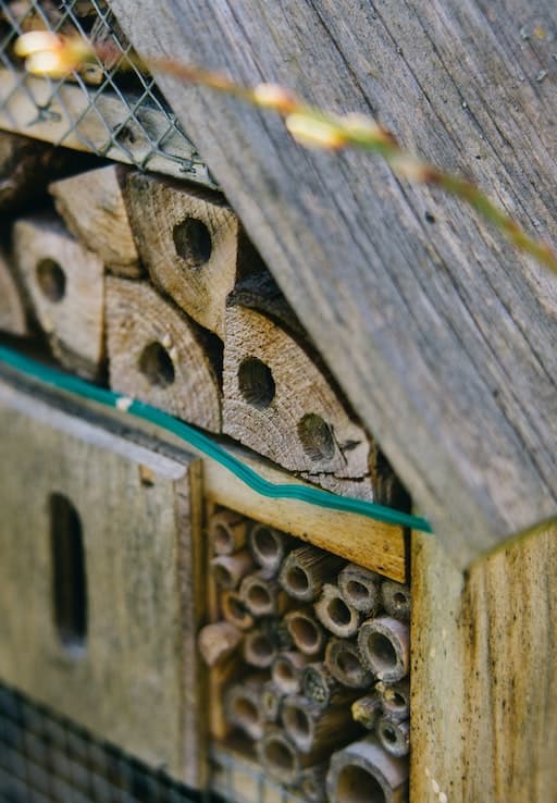 Bee House