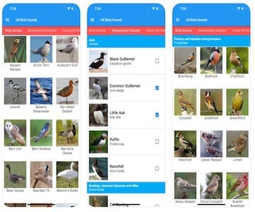 UK Birds and Sounds App