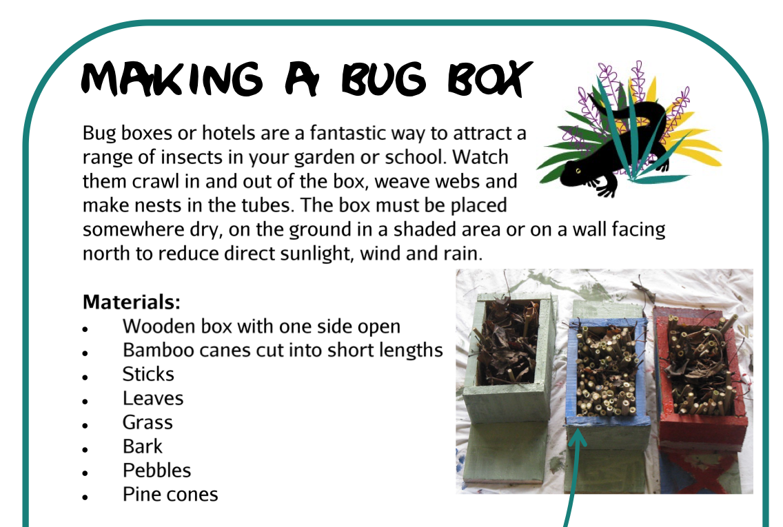 Make a Bug Box