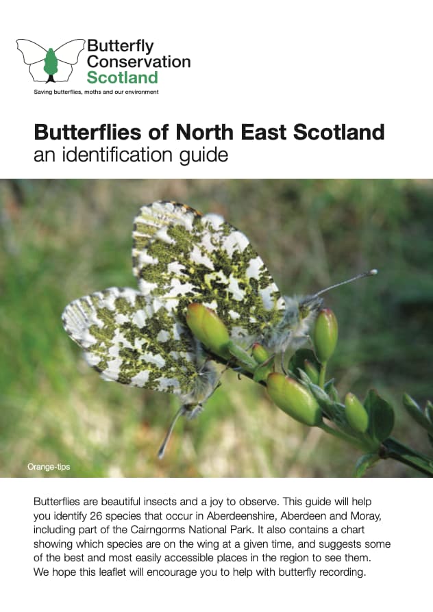 Butterflies of North East Scotland Cover