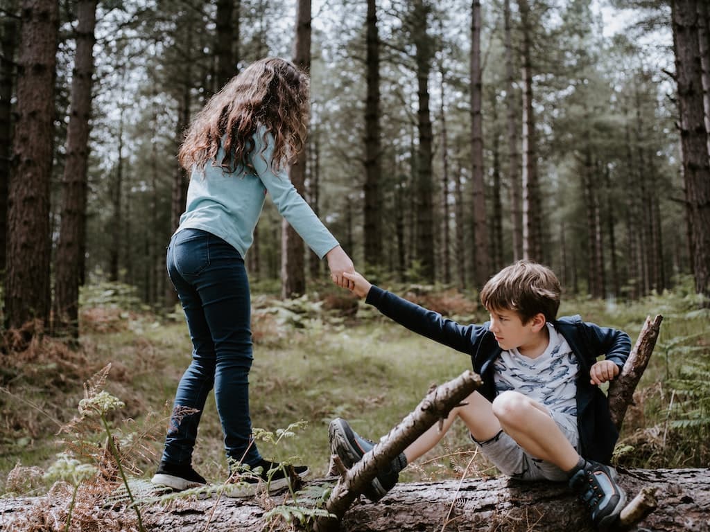 Children Playing in Woodland