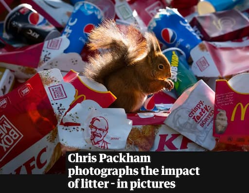 The Guardian Newspaper: When Wildlife Meets Litter