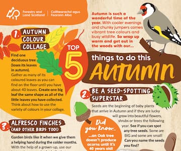 Forest and Land Scotland Autumn Activities