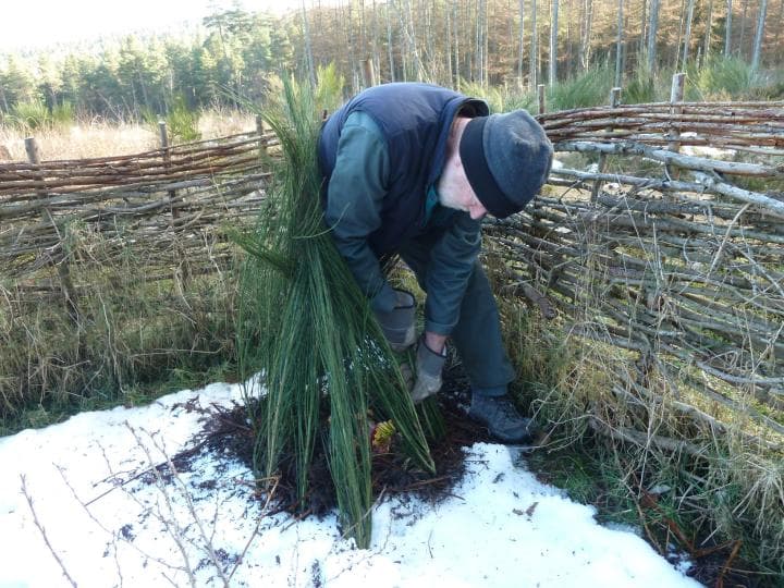 Bailies of Bennachie Kailyard Project