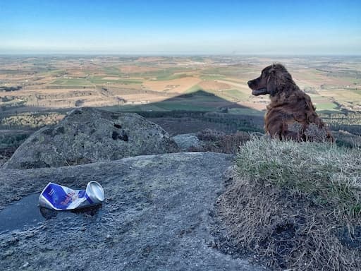 Litter on Bennachie