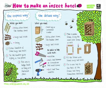 Make An Autumn Insect Hotel