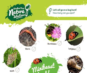 Minibeast Hunt (Woodland Trust)