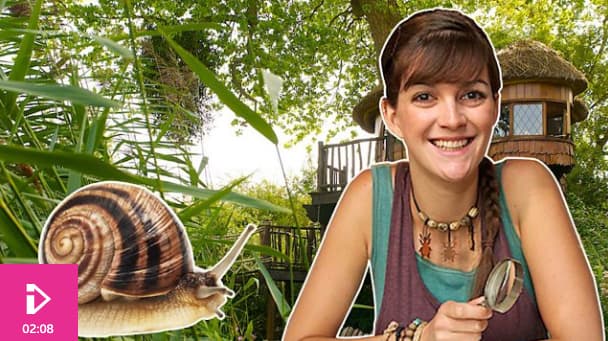 Snails Have Teeth! (BBC)