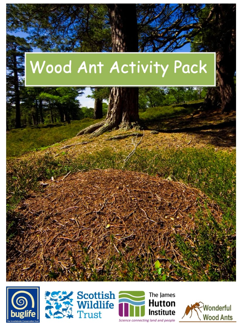 Wood Ant Activity Pack