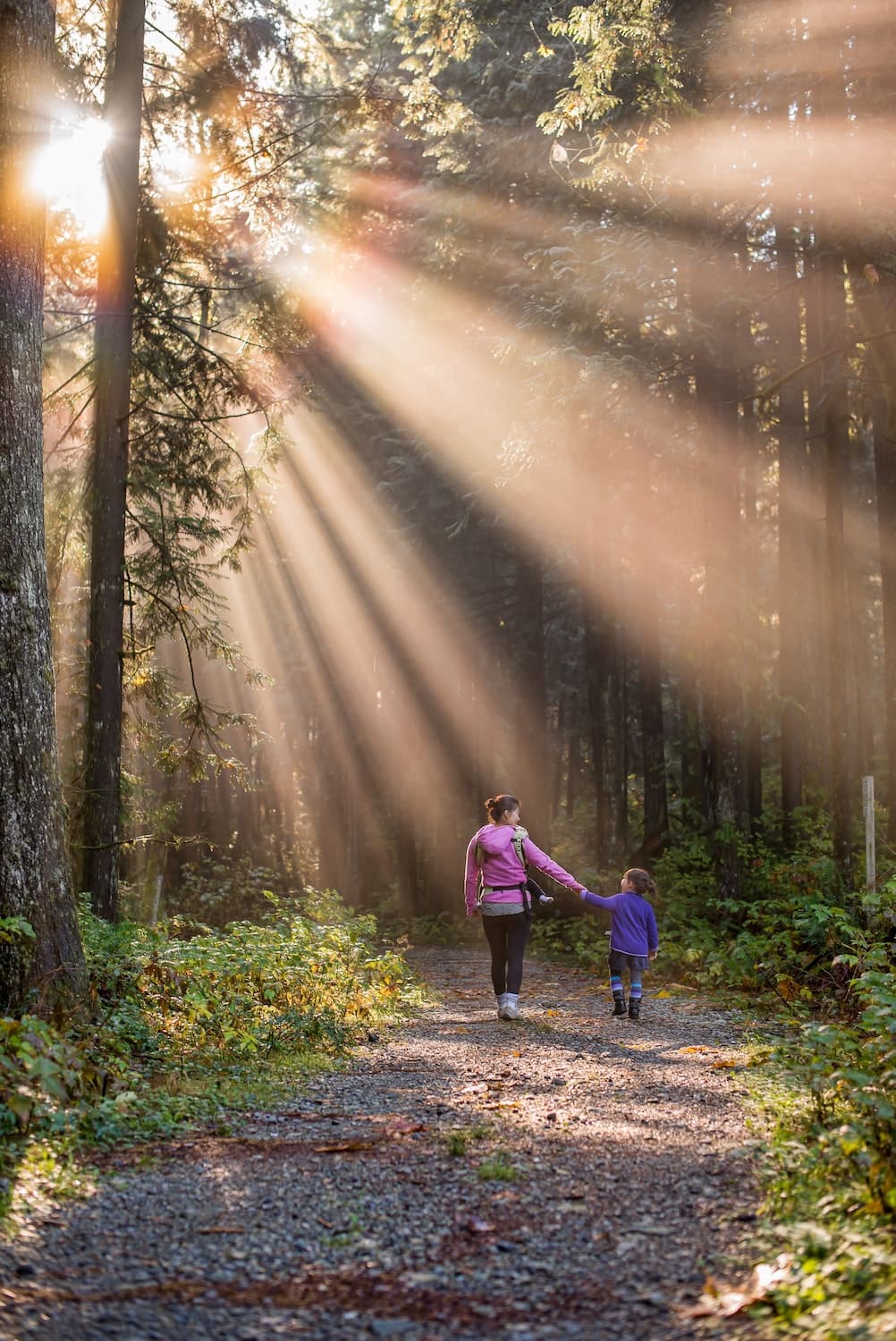 Woodland Walk